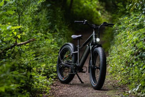 Rad Power Bikes RadRhino 6 Plus ficha tecnica 